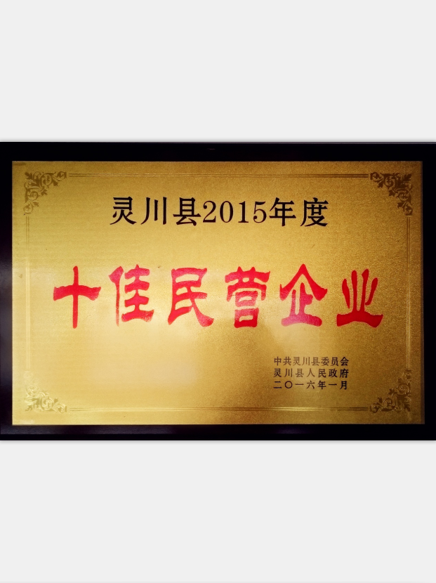 2015年度十佳民營企業(yè)