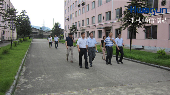 桂林市領(lǐng)導(dǎo)到桂林華信制藥有限公司調(diào)研