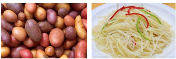 土豆的傳奇 土豆的傳奇