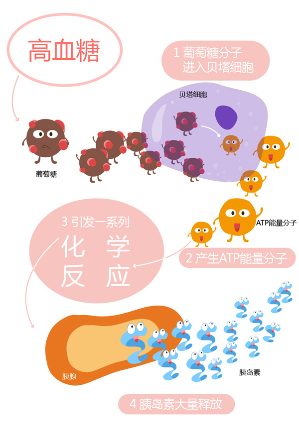 血糖實(shí)時監(jiān)測系統(tǒng)