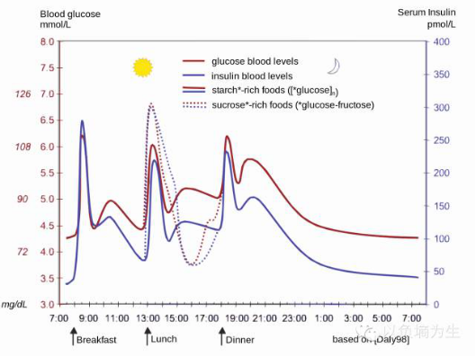 每日血糖和胰島素水平變化的曲線 每日血糖和胰島素水平變化的曲線