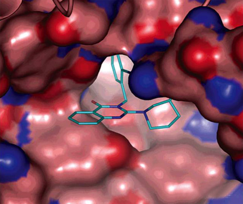 基于結(jié)構(gòu)的藥物設(shè)計(jì) 基于結(jié)構(gòu)的藥物設(shè)計(jì)